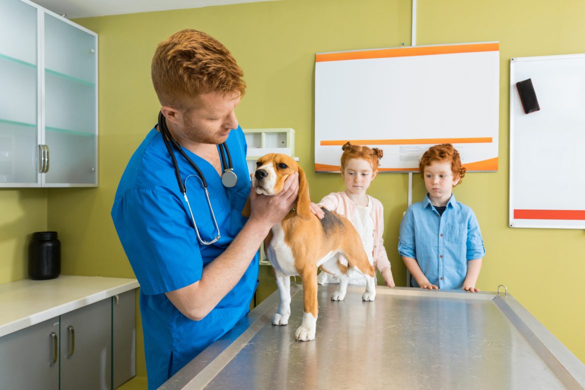 Hipertireoidismo em Cães – Compreenda Melhor