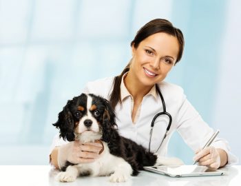 Dia do Médico Veterinário – Capacidade e Amor