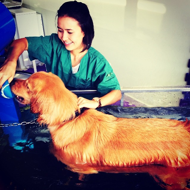 Pet Fisio Unidade Alphaville