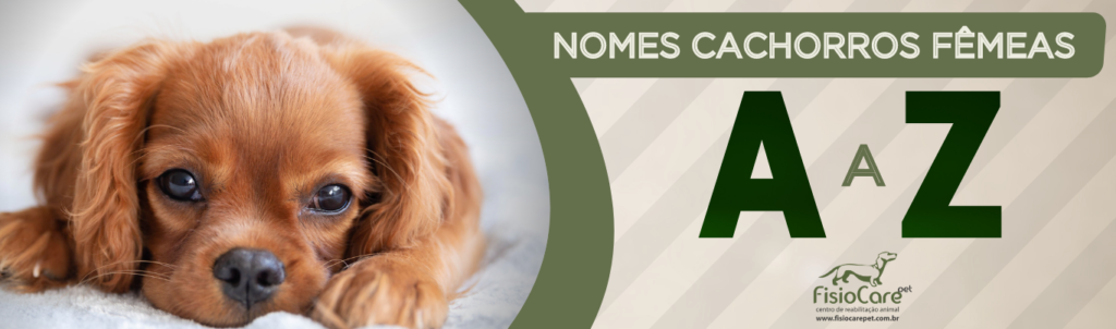 Nomes franceses para cachorros - Mais de 200 IDEIAS 🐶